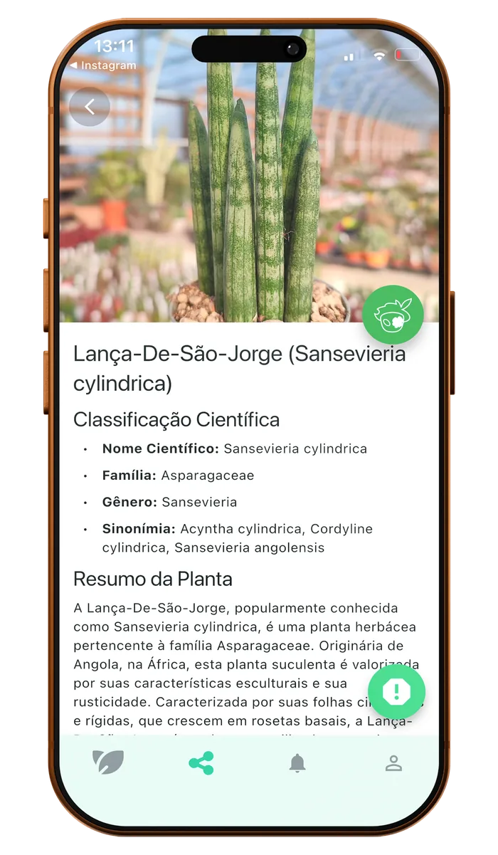 Ficha de espécie no aplicativo Kaktu, com nome científico, família e resumo dos cuidados