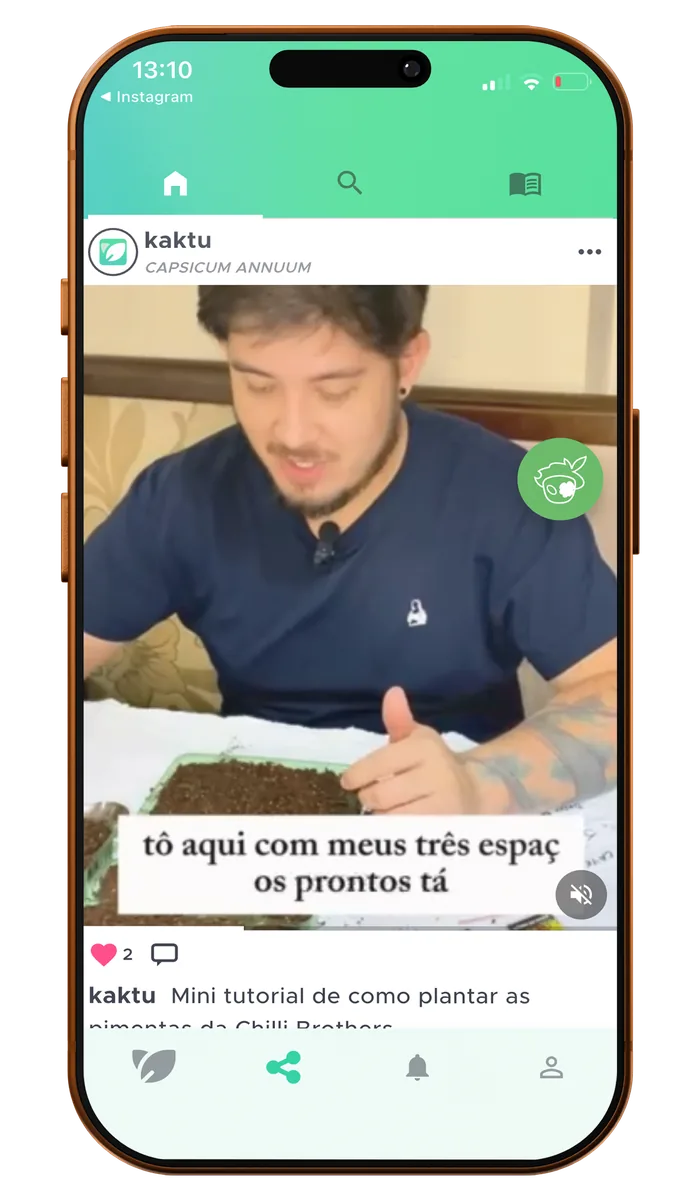 Feed da comunidade do aplicativo Kaktu, com publicações de fotos de plantas de outros cultivadores